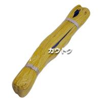 イリイ ベルトスリング 75mm幅 1m TR-245B