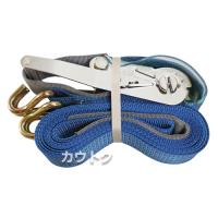 イリイ ラッシングベルト(フック式) 5m 5000kg TR-025RB