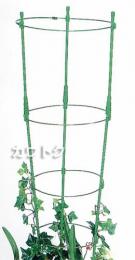 第一ビニール ぐんぐんリング 小 [2セット入]45cm〜60cm