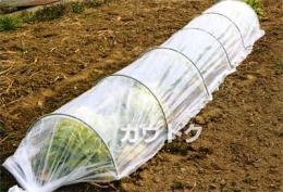 第一ビニール おてがる君[ポリシート] 90cm×2.1m×50cm