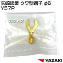 矢崎総業 クワ型端子 φ6 Y57P