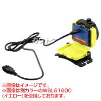 ストリームライト ダブルクラッチ USB ブラック WSL61601 [カラー:ブラック]
