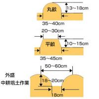 ホンダ サラダFF300用 スーパーグリーン畝立器 11010【耕耘機 耕運機 耕うん機 アタッチメント 管理機 作業機】