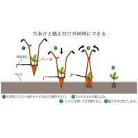 サンエー 開閉式植え付け器 ホーラー H70P