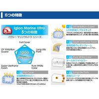 igloo(イグルー) 5ガロン スポーツローラー (ブルー) [5 GALLON SPORT ROLLER]