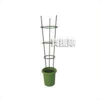 第一ビニール ダイムリング中(直径27cm)
