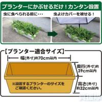 第一ビニール すっぽり虫よけカバー　大
