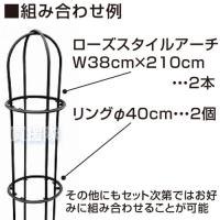 第一ビニール ローズスタイル用リング Φ40cm RR400