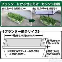 第一ビニール すっぽり虫よけカバー　小