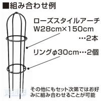 第一ビニール ローズスタイル用リング Φ30cm RR300