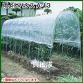 南榮 雨よけハウス A-13型