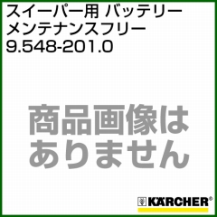 ケルヒャー バッテリー   9.548-201.0