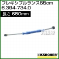 ケルヒャー 高圧洗浄機用 フレキシブルランス 65cm (650mm) 6.394-734.0