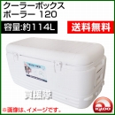 igloo(イグルー) クーラーボックス ポーラー 120 [POLAR 120 WHITE] [容量:約114L]