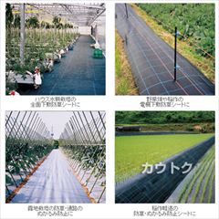 日本ワイドクロス 防草アグリシート ブラック (サイズ:1×100m) BB1515 [カラー:ブラック]